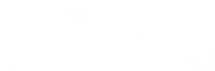 RAINER ABICHT Elbreederei