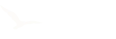 vergangen und vergessen